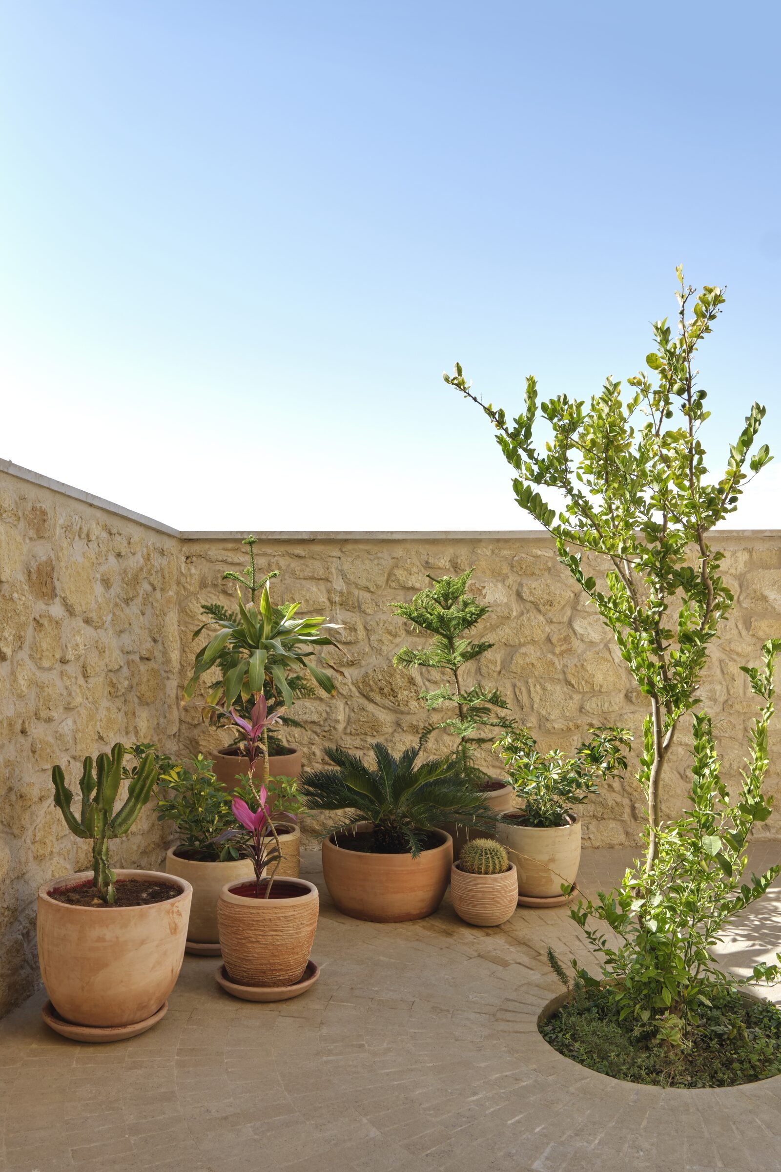 Walls of the Temple of the Oracle at Aghurmi