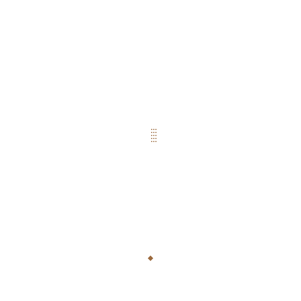 Bayt Gagy
